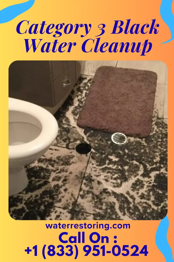 Category 3 Black Water Cleanup in Rendon, TX