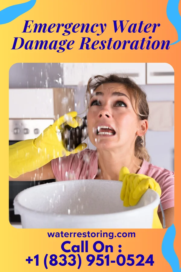 Emergency Water Damage Restoration in Rendon, TX