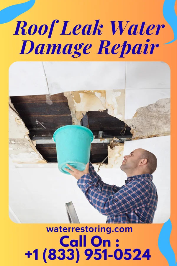 Roof Leak Water Damage Repair in Rendon, TX